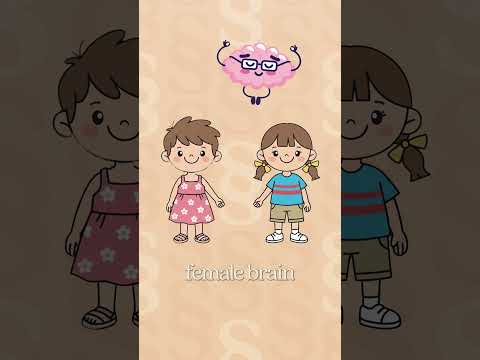 This Lie Needs To Stop.