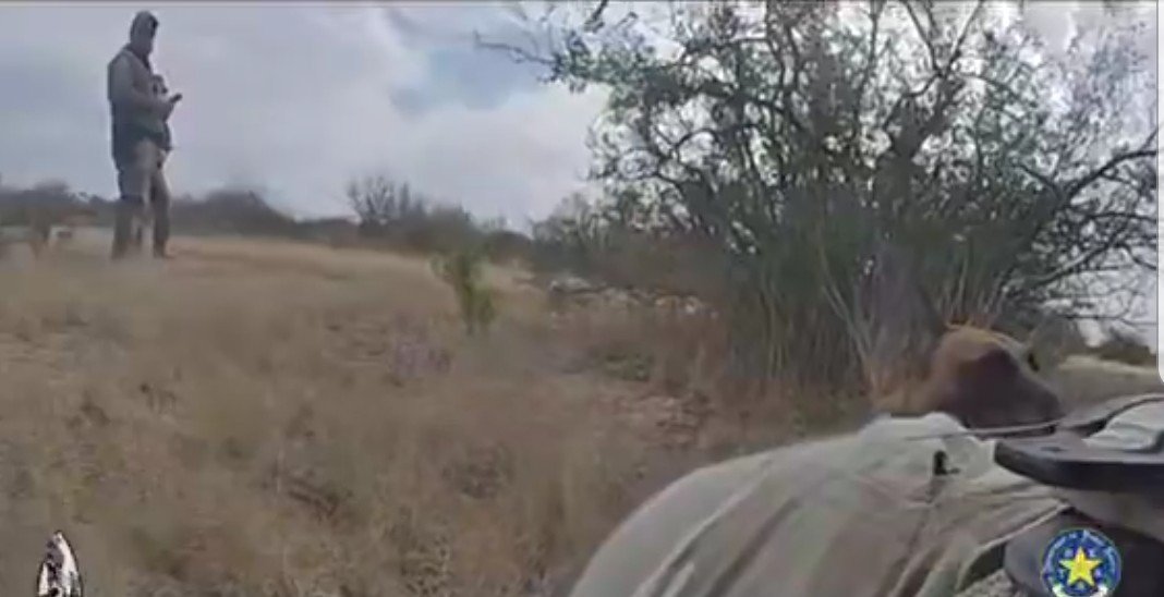 A law enforcement officer stands in a grassy area while a dog appears in the foreground, showcasing a tactical scene in nature.