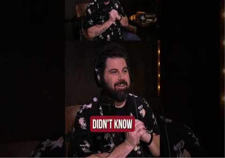 The heroines of the WNBA need to take an IQ test