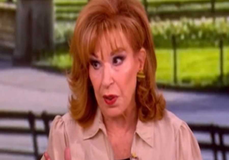 ABC News Employee Joy Behar: Trump Only Cares About White Children (VIDEO)