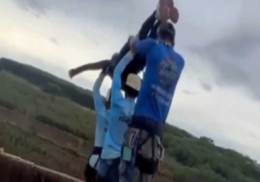 HORROR: Workers Throw Thrill-Seeking Woman Off Bridge in Brazil But Forget to Attach the Rope (VIDEO)