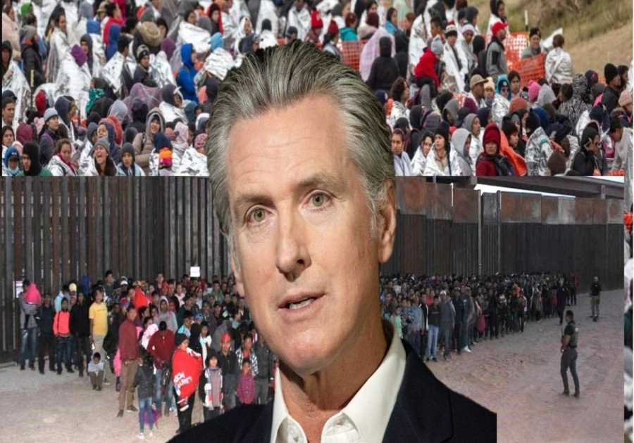 Illegal! University Of California Los Angeles Prioritizes Illegal Aliens for $7,000 Immigration Activism Summer Fellowship