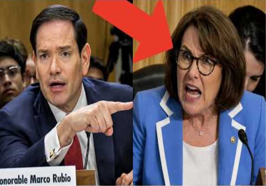 Marco Rubio just EXPOSED Sen. Jacky Rosen's Lies With Brilliant One-Liner