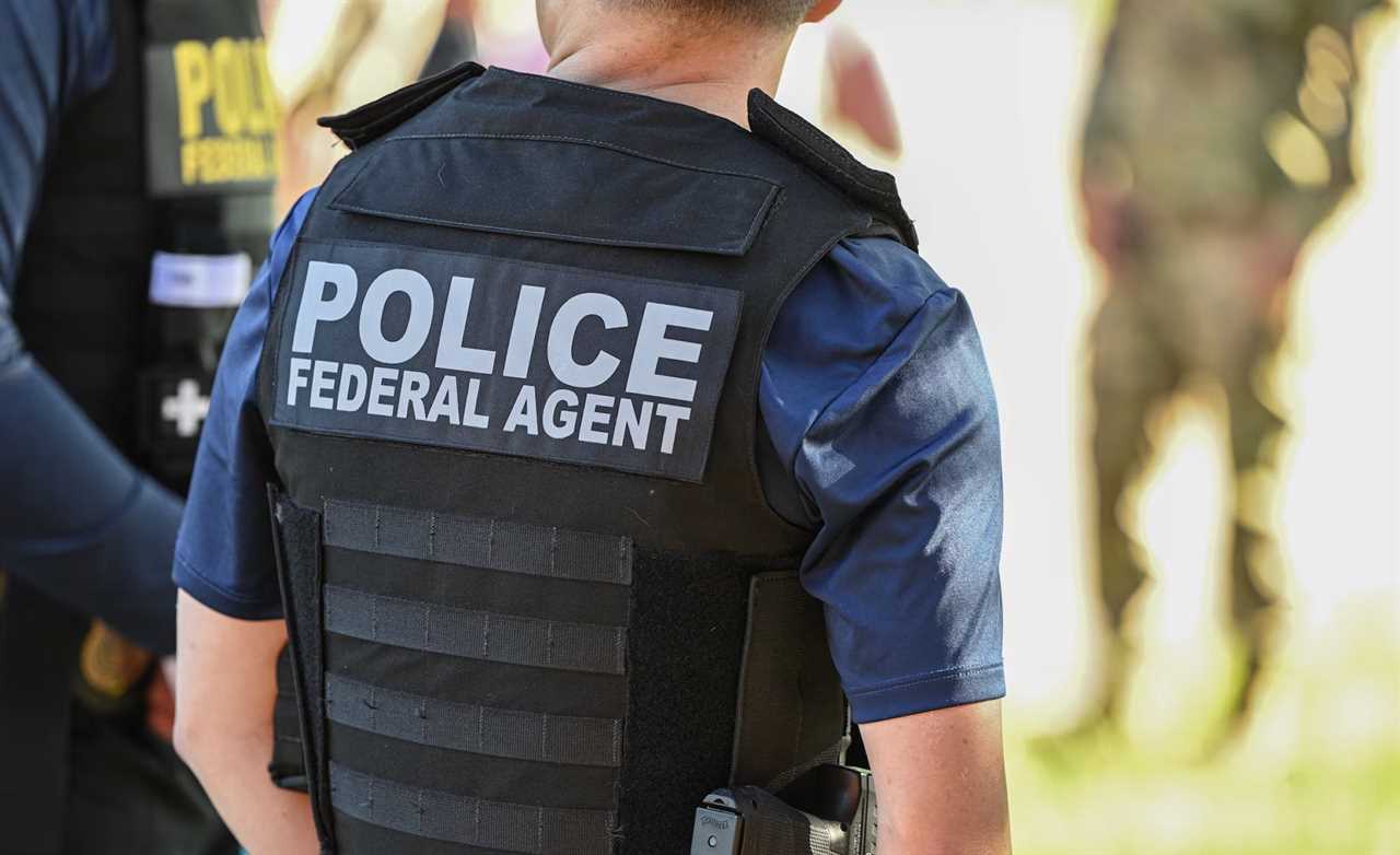 Federal agent in tactical gear with 