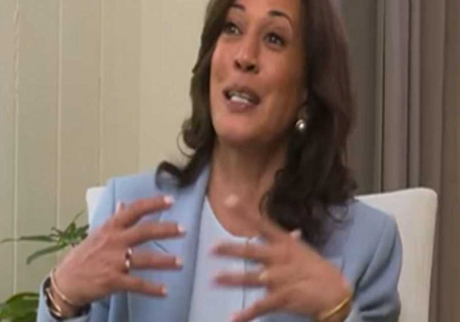 Try Not to Laugh as Kamala Harris Explains Artificial Intelligence and Algorithms (VIDEO)