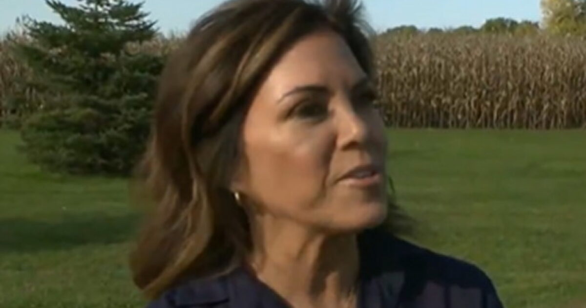 Republicans Starting to Realize They Have a Shot at Picking Up a Senate Seat in Minnesota With Michele Tafoya (VIDEO)